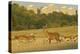 Red Deer (Cervus Elaphus) in Richmond Park with Roehampton Flats in Background, London, England, UK-Terry Whittaker-Premier Image Canvas