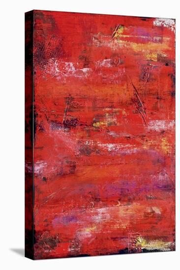 Red Door I-Erin Ashley-Stretched Canvas