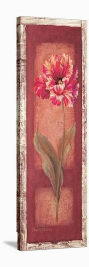 Red Door Tulip-Pamela Gladding-Stretched Canvas