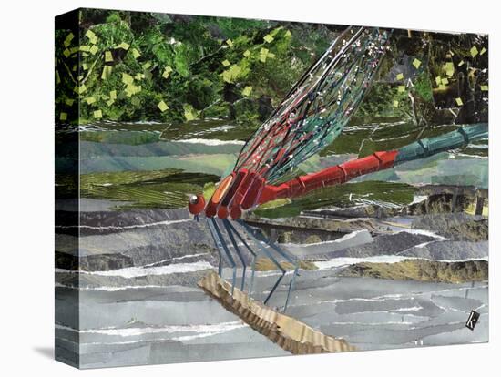 Red Dragonfly-Kirstie Adamson-Premier Image Canvas