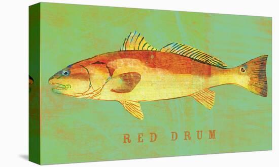 Red Drum-John Golden-Stretched Canvas