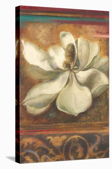 Red Eclecticism with Magnolia-Patricia Pinto-Stretched Canvas