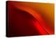 Red Edge-Ursula Abresch-Premier Image Canvas