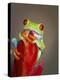 Red-eyed tree frog-Maresa Pryor-Premier Image Canvas