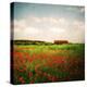 Red Field-Philippe Sainte-Laudy-Premier Image Canvas