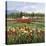Red Flower Field-Hulsey-Stretched Canvas