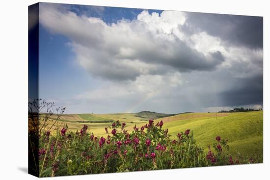 Red flowers and rainbow frame the green hills and farmland of Crete Senesi (Senese Clays), Province-Roberto Moiola-Premier Image Canvas