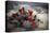 Red Flowers Bloom From A Cactus On The Desert Floor - Joshua Tree National Park-Dan Holz-Premier Image Canvas