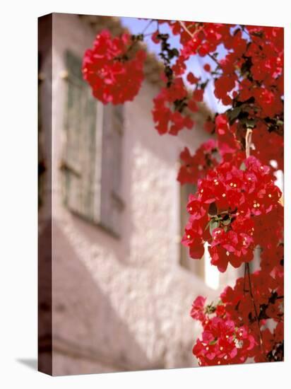 Red Flowers on Main Street, Kardamyli, Messina, Peloponnese, Greece-Walter Bibikow-Premier Image Canvas