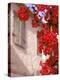 Red Flowers on Main Street, Kardamyli, Messina, Peloponnese, Greece-Walter Bibikow-Premier Image Canvas