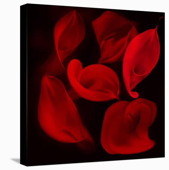 Red Flowers-Unaciertamirada-Premier Image Canvas