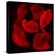 Red Flowers-Unaciertamirada-Premier Image Canvas