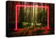 Red fluorescent neon laser lights in green magical forest landscape.-Björn Forenius-Stretched Canvas