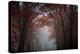 Red Forest-Philippe Manguin-Premier Image Canvas
