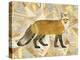 Red Fox Collage I-Nikki Galapon-Stretched Canvas