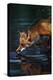 Red Fox Drinking Water-W^ Perry Conway-Premier Image Canvas
