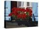 Red Geraniums and Blue Shutters, Bort, Grindelwald, Bern, Switzerland, Europe-Tomlinson Ruth-Premier Image Canvas