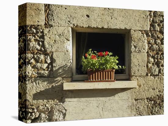 Red Geraniums on a window sill-null-Premier Image Canvas