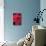Red Gerbera Daisies 1-Erin Berzel-Premier Image Canvas displayed on a wall