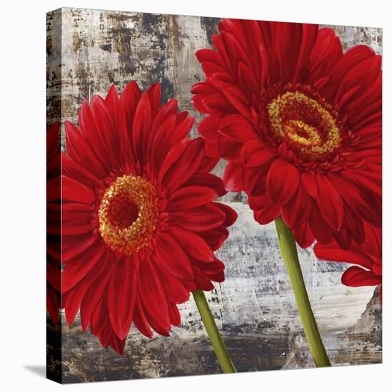 Red Gerberas I-Jenny Thomlinson-Stretched Canvas