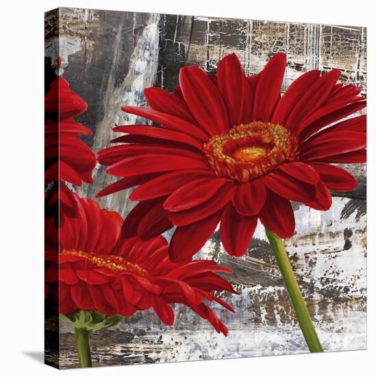 Red Gerberas II-Jenny Thomlinson-Stretched Canvas