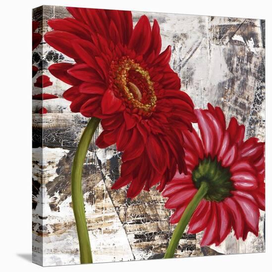 Red Gerberas III-Jenny Thomlinson-Stretched Canvas