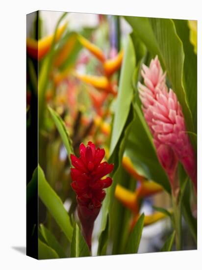 Red Ginger flowers, Seafront Market, St-Paul, Reunion Island, France-Walter Bibikow-Premier Image Canvas