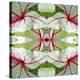 Red Green Caladium-Rose Anne Colavito-Stretched Canvas