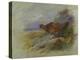 Red Grouse-Archibald Thorburn-Premier Image Canvas