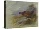 Red Grouse-Archibald Thorburn-Premier Image Canvas