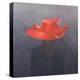 Red Hat, 2004-Lincoln Seligman-Premier Image Canvas