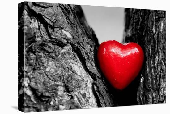 Red Heart in a Tree Trunk. Romantic Symbol of Love, Valentine's Day. Black and White with Red.-Michal Bednarek-Premier Image Canvas