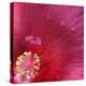 Red Hibiscus Abstract-Anna Miller-Premier Image Canvas