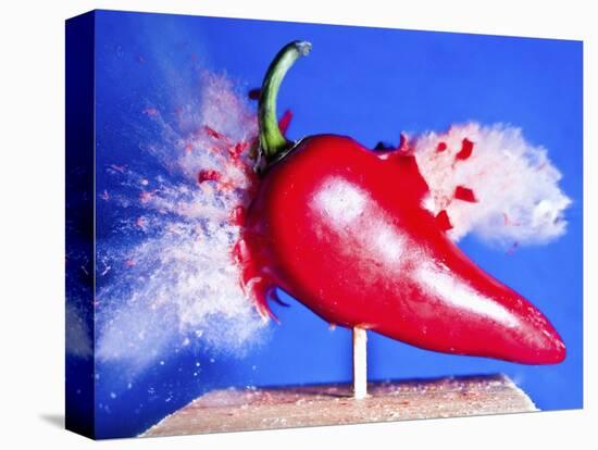 Red Hot Pepper-Alan Sailer-Premier Image Canvas