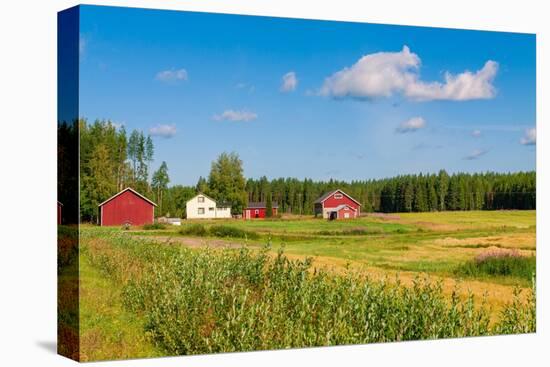 Red Houses in A Rural Landscape-nblx-Premier Image Canvas