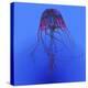 Red Jellyfish Illustration-Stocktrek Images-Stretched Canvas