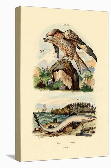 Red Kite, 1833-39-null-Premier Image Canvas