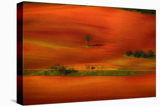 Red Land-Viviane Fedieu Daniel-Premier Image Canvas