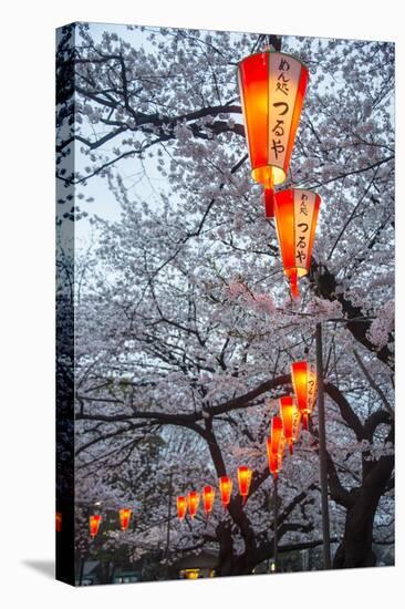 Red Lanterns Illuminating the Cherry Blossom in the Ueno Park, Tokyo, Japan, Asia-Michael Runkel-Premier Image Canvas