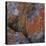 Red Lichen on Rocks-Micha Pawlitzki-Premier Image Canvas