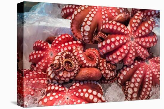 Red Live Octopus at Tsukiji Fish Market, Tokyo, Japan-javarman-Premier Image Canvas