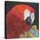 Red Macaw Parrot-Kirstie Adamson-Premier Image Canvas