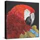 Red Macaw Parrot-Kirstie Adamson-Premier Image Canvas