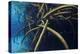 Red Mangrove (Rhizophora Mangle) in Sinkhole-Claudio Contreras-Premier Image Canvas