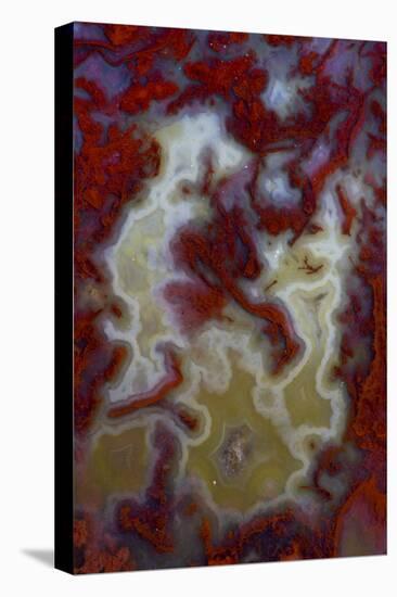 Red Moss Agate Slab-Darrell Gulin-Premier Image Canvas