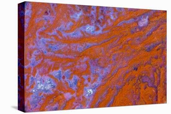 Red Moss Agate-Darrell Gulin-Premier Image Canvas