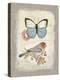 Red Natural Life, Butterfly and Little Bird-Chad Barrett-Stretched Canvas