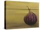 Red Onion on a Box-Gigi Begin-Premier Image Canvas