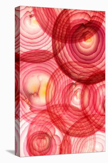 Red Onion Segments-Ryan Matthew Smith-Premier Image Canvas