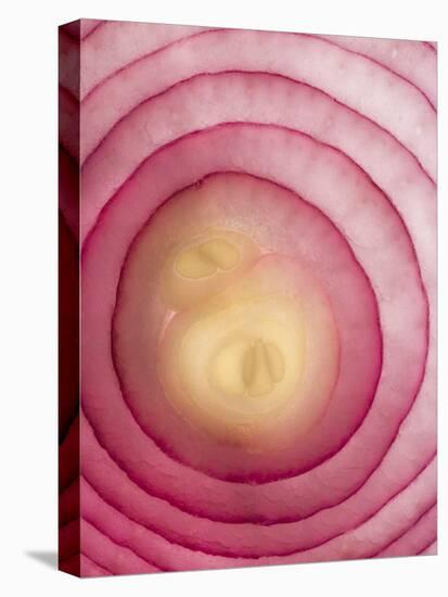 Red Onion-Greg Elms-Premier Image Canvas